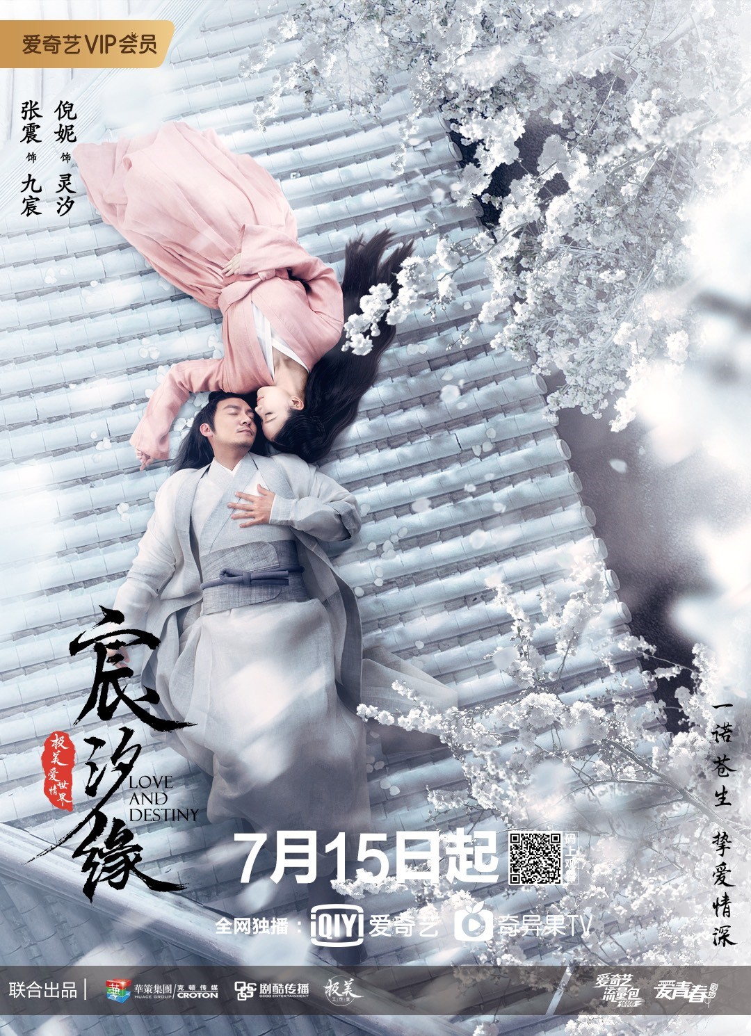 爱奇艺 爱奇艺