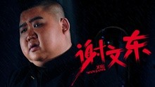 谢文东第2季(1-28)全集-电视剧-高清正版在线观看-爱奇艺