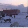 南极大陆：挑战神之领域的男人与狗的故事