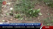 沙坪坝龙腾丰文小区 丈夫砍伤妻子后坠亡资讯搜索最新资讯爱奇艺