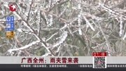 广西全州:雨夹雪来袭资讯完整版视频在线观看爱奇艺