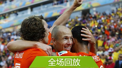 全场回放：世界杯B组荷兰20智利