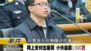 网上支付出漏洞小伙盗窃1300万资讯完整版视频在线观看爱奇艺