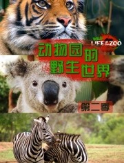 动物园的野生世界第2季