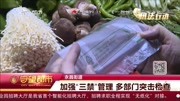 加强“三禁”管理多部门突击检查资讯高清正版视频在线观看–爱奇艺