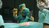 小羊肖恩:误闯进手术室的狗狗，居然要给病人做手术