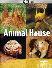 自然世界：动物之家