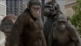 几分钟看完《猩球崛起》, 猿族首领的成长史, 这才叫悟空归来