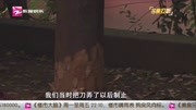 河南:迷信算命先生 奇葩夫妻半夜砍树!资讯搜索最新资讯爱奇艺