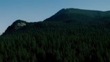 高空视角欣赏一下绿油油~