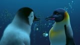 人类禁止了在南极洲附近过度的捕鱼的行为后企鹅终于有鱼吃了