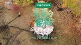 《亲爱的客栈》第二季定档，刘涛夫妇回归，武艺王鹤棣马思超加入