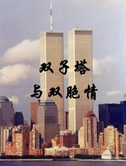 双子塔与双胞情