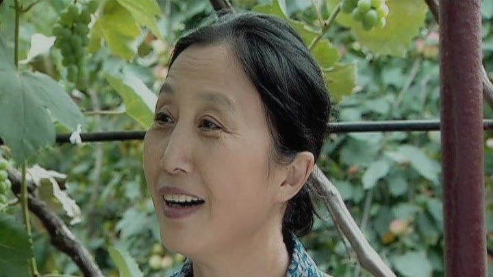 我的傻老婆