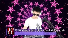 走天涯dj