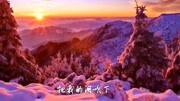 《流浪歌》——陈星音乐背景音乐视频音乐爱奇艺