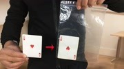 魔术师晓东魔术教学