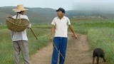 暖春：香草每天熬中药，为此和三娘大吵一架