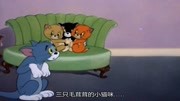 猫和老鼠,超级搞笑动画片,三只小猫