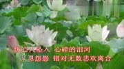 一曲伤感情歌《雨荷》好听醉了!娱乐高清正版视频在线观看–爱奇艺