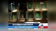 纽约全息图像艺术馆 展示神奇世界资讯搜索最新资讯爱奇艺