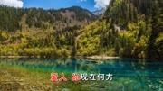 邓丽君  爱像一首歌MV 超清 超美 好听极了音乐高清MV在线观看–爱奇艺