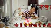 《嘟嘟与三喵子的沙雕生活》第20190125期不亏!100块在拼多多给猫买礼物,结果……生活完整版视频在线观看爱奇艺