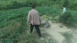 中国神探：男子刚欲一脚踩下去，发现不太对，便收回脚，俯身查看