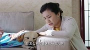 警花与警犬:做狗太苦下辈子做人,贴心陪樱桃,接下来瞬间泪奔片花完整版视频在线观看爱奇艺