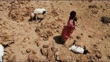 沙漠之花：小女孩放羊，还给小羊取名字，村里人都是靠放羊为生