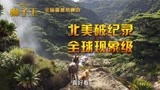 北美破纪录，全世界都在看《狮子王》！就等你啦~