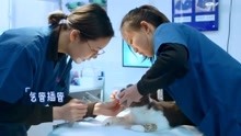 孩子脖子被绳索勒住,爷爷浑然不知,孩子表情痛苦路人急忙制止