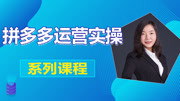 2019拼多多运营实操教程 拼多多15天爆款的操作方法展示以及成功案例知识名师课堂爱奇艺