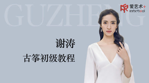 谢涛古筝初级课程