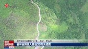 省林业局:念＂山字经＂打好＂生态牌＂资讯高清正版视频在线观看–爱奇艺