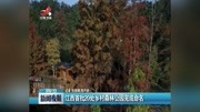 江西首批20处乡村森林公园完成命名资讯高清正版视频在线观看–爱奇艺