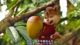 鼠来宝3：花栗鼠们开启丛林探险，到处寻找抢食物，真是太可爱了