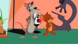 猫和老鼠最新版 26 动画