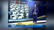 这不是特效,这是阅兵仪式资讯高清正版视频在线观看–爱奇艺