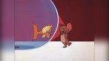 孩子这几天老看《猫和老鼠》鱼缸里的猫叫声里面的汤姆，游戏都不玩了