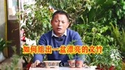 《农村养花匠》第20191025期养花知识:文竹组盆“秘籍”,3大步别忽略,越长越旺盛!原创完整版视频在线观看爱奇艺