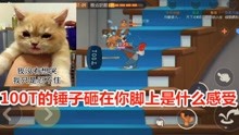 大宝哥原创猫和老鼠目前唯一的一只女老鼠大宝哥细细研究一下