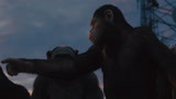 猩球崛起：猩猩团结起来，冲出牢笼，这下人类危险了