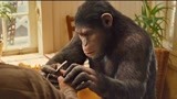 猩球崛起：大猩猩的基因遗传了母亲，智力超强，威尔快控制不住他
