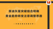 【价值千元的共振交易法】实战盈利篇,年入千万不是梦 原油矢量突破组合明确,黄金趋势转变注意调整思路教育高清正版视频在线观看–爱奇艺