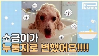 HyunA-Aing TV09：与狗狗盐盐的日常互动