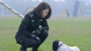 警花与警犬:警花和自己的配犬,开始考核,看完考核过程笑喷了!第1集警花与警犬:警花和自己的配犬,开始考核,看完考核过程笑喷了!片花完整版视...