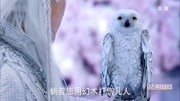 幻城:冰族王子打伤凡人,突然间幻术全无,原来是有契约!第1集幻城:冰族王子打伤凡人,突然间幻术全无,原来是有契约!片花完整版视频在线观看...