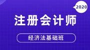 【2020CPA】注册会计师经济法基础班 第七章 证券法律制度第7讲 虚假陈述的法律责任知识名师课堂爱奇艺