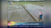 上海小昆山镇:万亩良田打造3A级农业新景区资讯搜索最新资讯爱奇艺